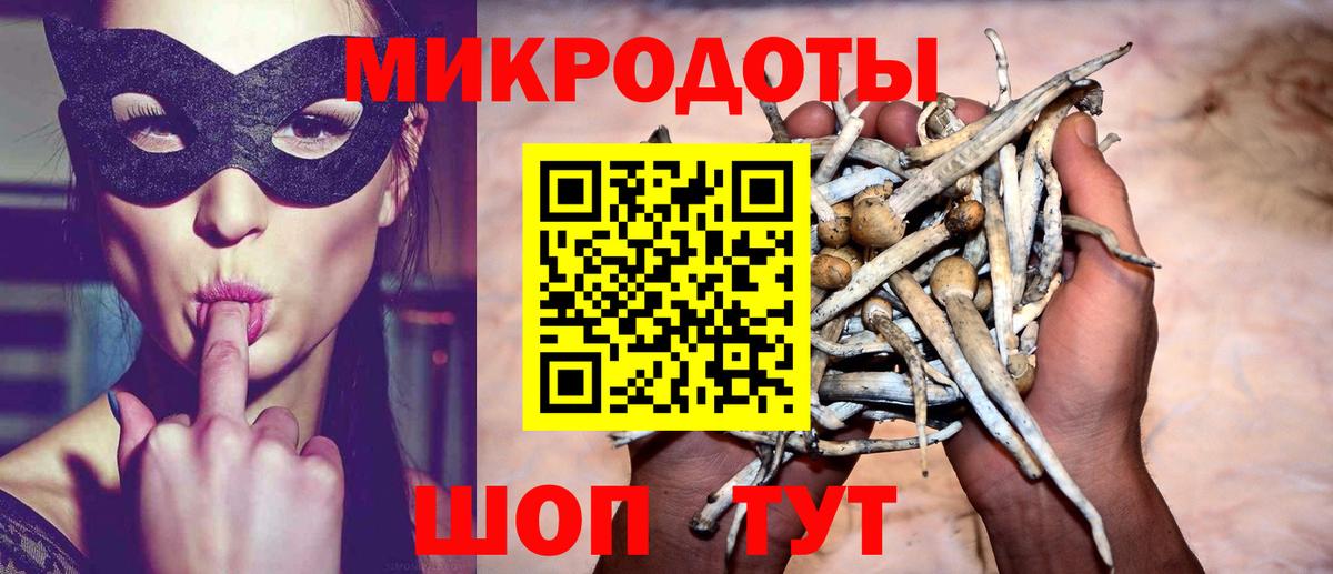 Галлюциногенные грибы мухоморы Ачинск